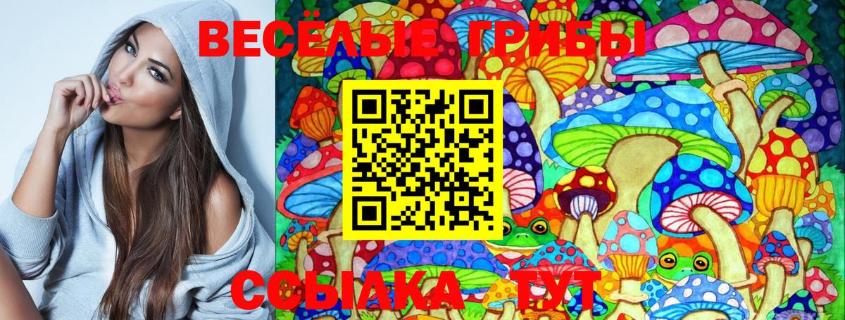 Псилоцибиновые грибы Psilocybine cubensis Городец